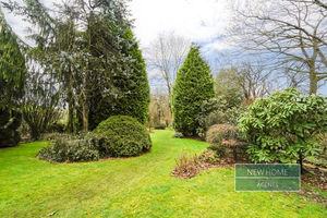 Photo 13- click for photo gallery